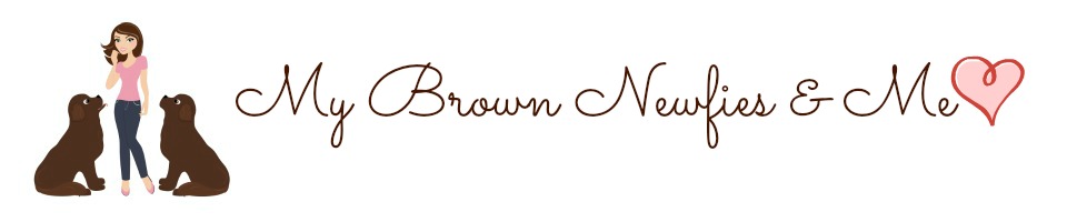 mybrownnewfies.com - It's their world, I just live in it.