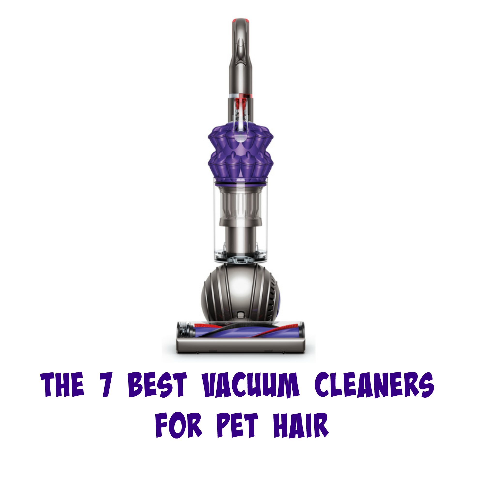 The 7 Best Vacuum Cleaners For Pet Hair Mybrownnewfiescom