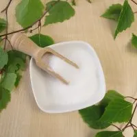 xylitol is an artificial sweetener that can be toxic to dogs if ingested