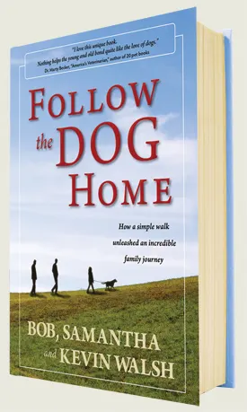 Blue and cream hardback book
