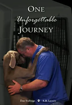 maverick-book-review