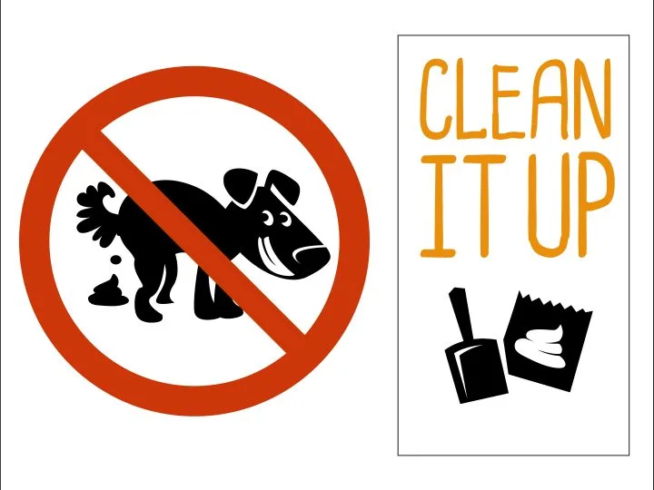 clean up your dog's poop