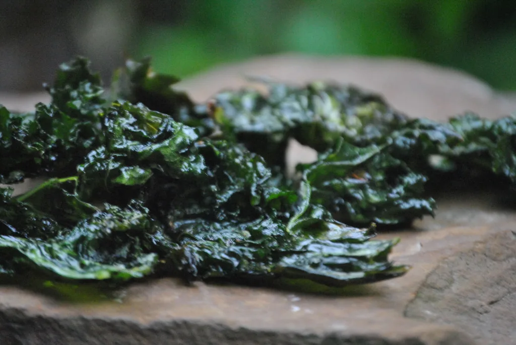 Easy To Make Kale Chips For Dogs