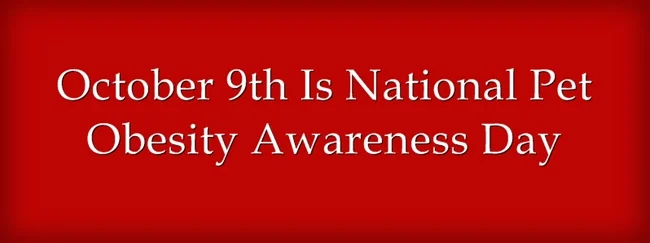 October-9th-Is-National