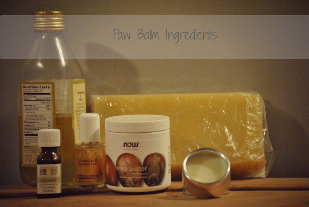 Ingredients needed for DIY paw balm 