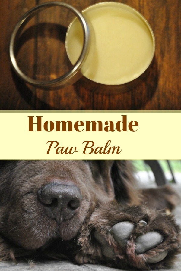 Homemade paw balm for your dog. It's super easy to make right in your own kitchen and it will keep your dog's paws healthy in the brutal winter months ahead!