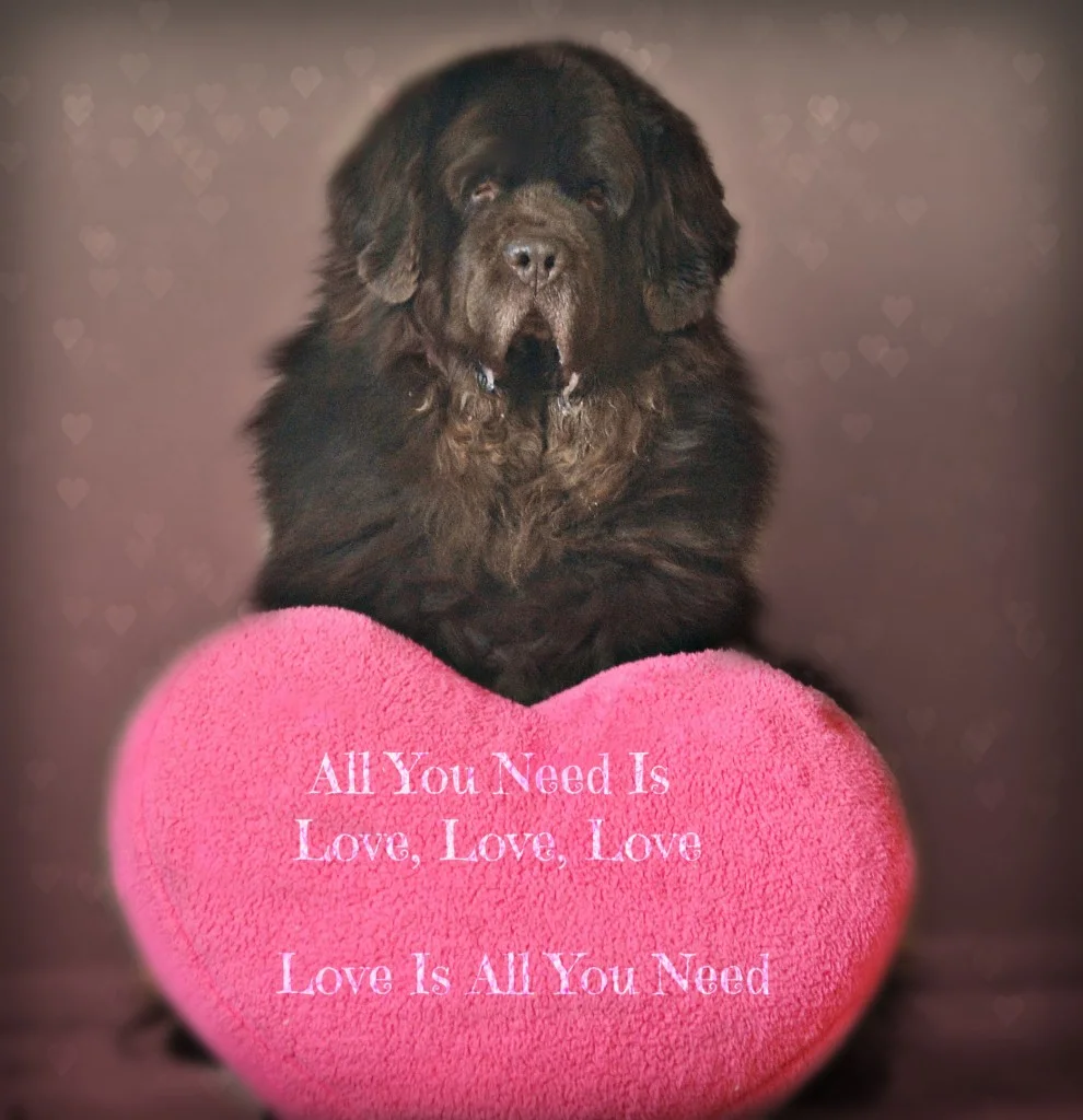 Valentine's Day