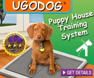 300x250_UGODOG_puppy-postty-training-system_no_2