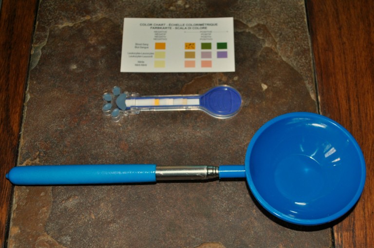 An Easy, Safe And Clean Way To Check Your Dog's Urine From Home My