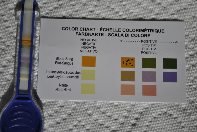 An Easy, Safe And Clean Way To Check Your Dog's Urine From Home My