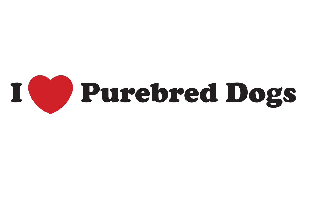 I Love Purebred Dogs png