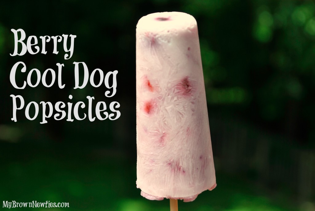 Berry Cool Dog Popsicles