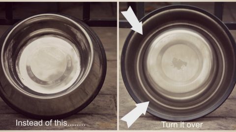 Dog Hack: If you want to slow down your dog's eating, flip over their non-slip dog bowl and put the food in the ring