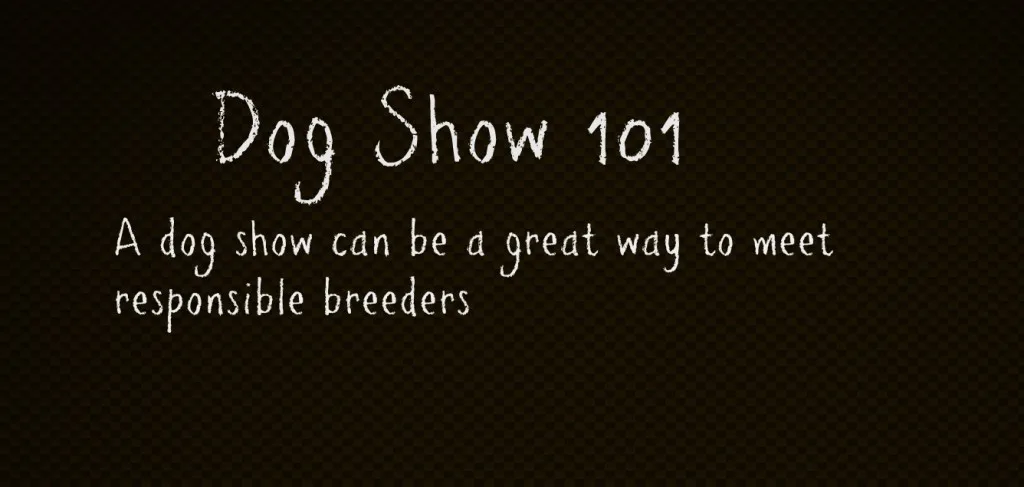 8 Tips On Attending A Dog Show Looking For A Breeder