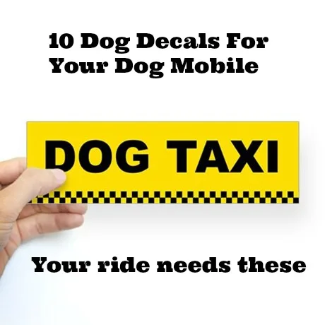 dog_taxi_bumper_sticker1