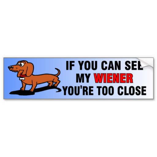 if_you_can_see_my_wiener_dog_