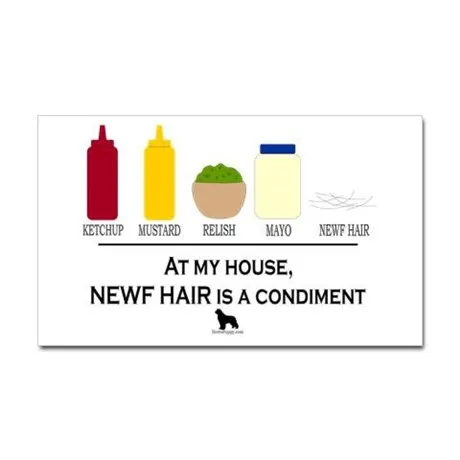 newf_hair_is_a_condiment_sticker_rectangle