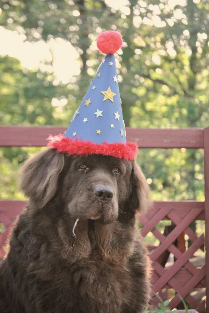 Happy Birthday Leroy
