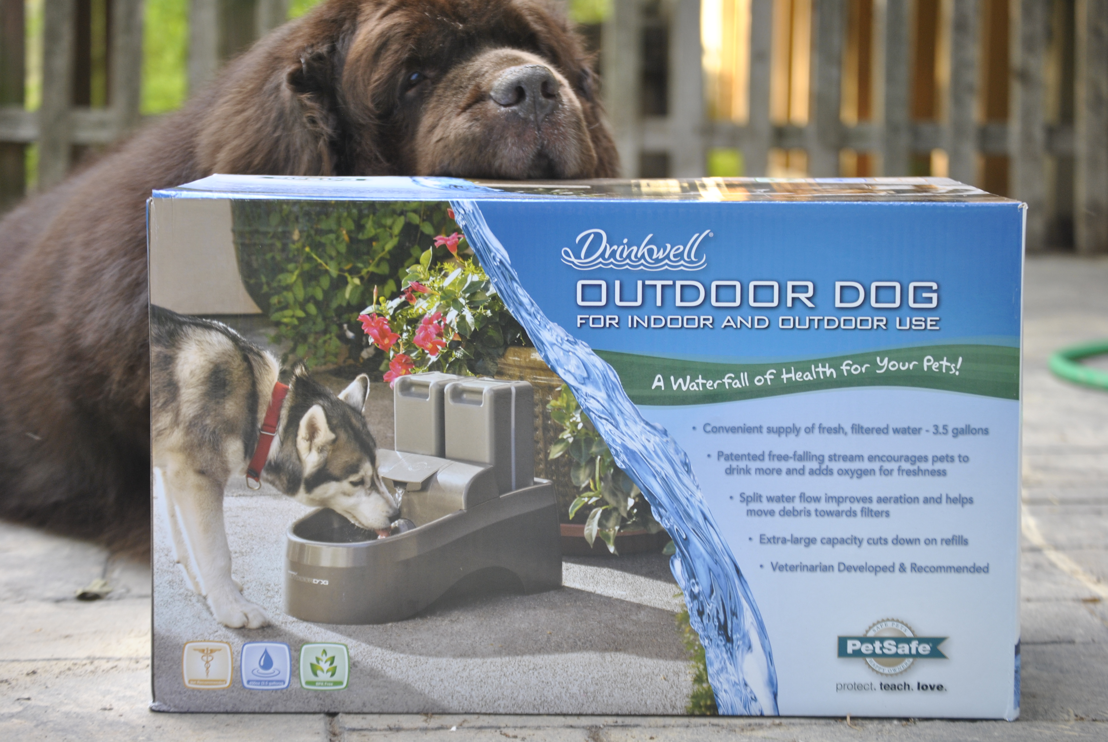 Made For Big Dogs: Drinkwell Outdoor Dog Fountain. - My Brown Newfies