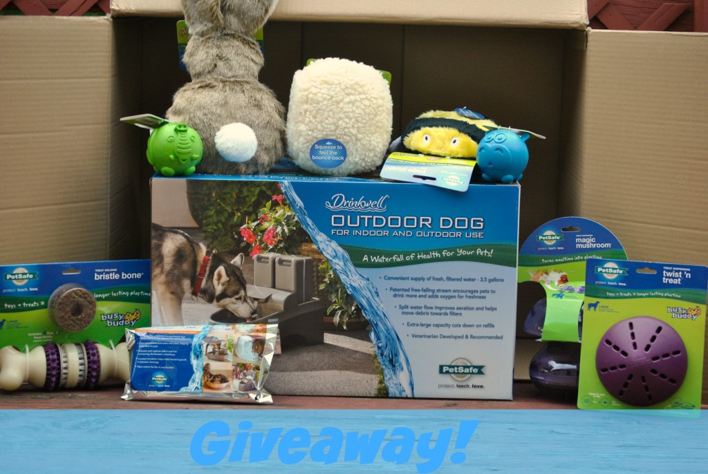 Drinkwell outdoor pet fountain giveaway