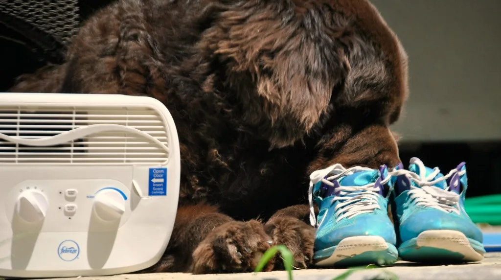 febreze air purifier