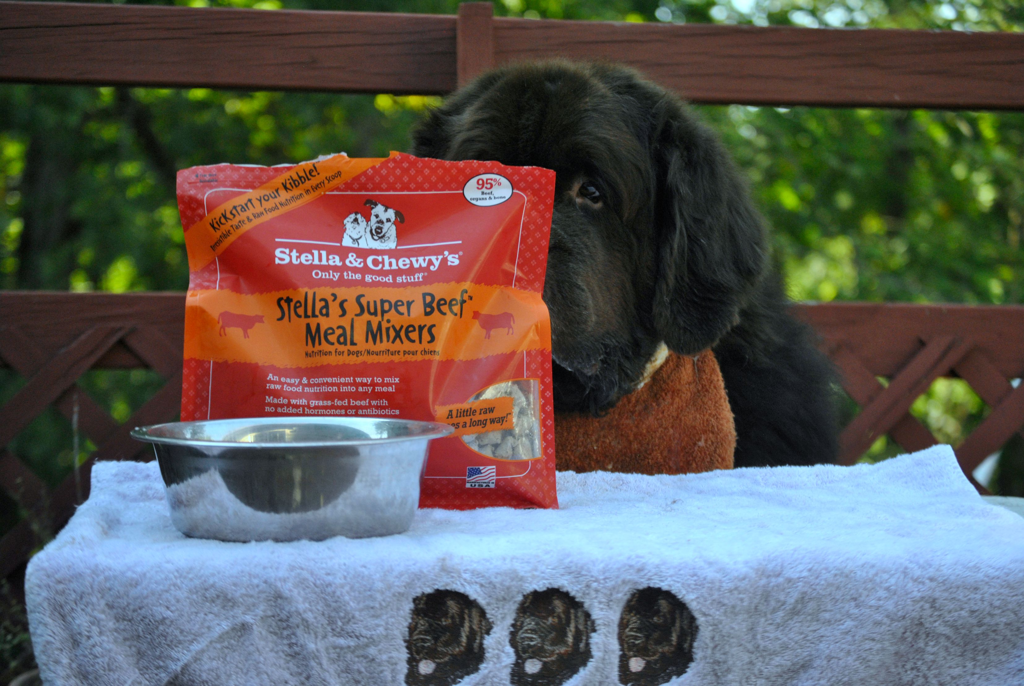Dog Dining 101 With Stella & Chewy's Raw Pet Food Meal Mixers. 