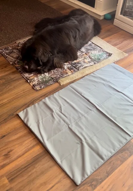 are dog cooling mats worth it