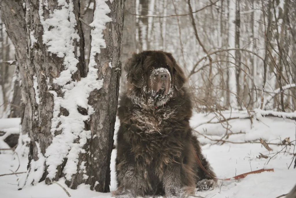 My favorite picture of you 