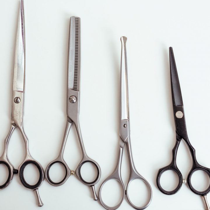 grooming scissors for newfies