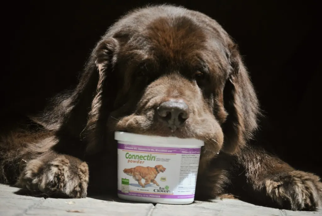 Connectin Joint Supplement