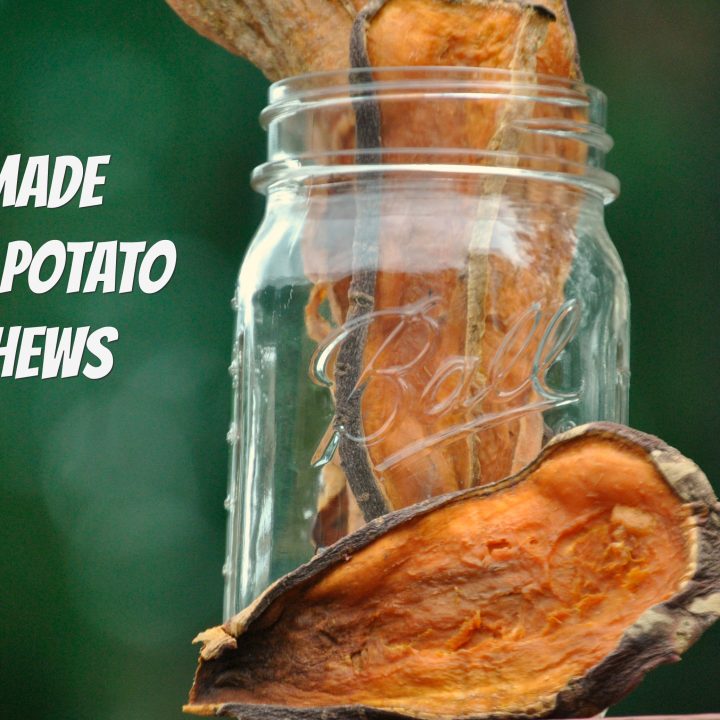 Easy To Make Sweet Potato Dog Chews