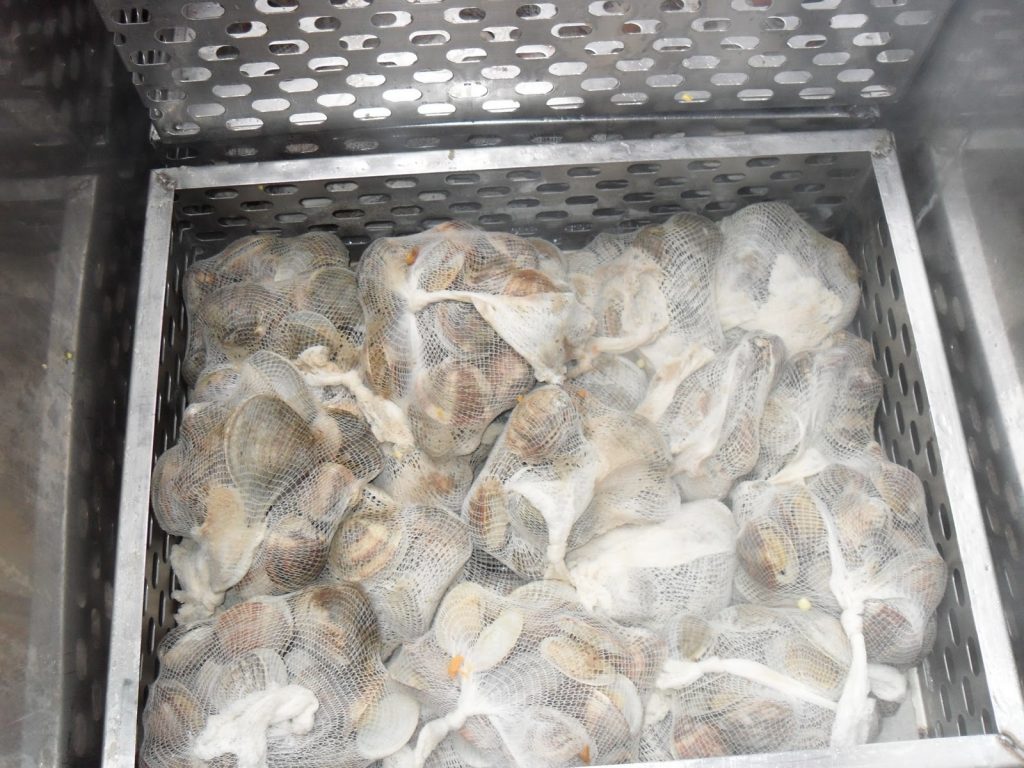 Clam shells can be harmful to dogs if ingested. 