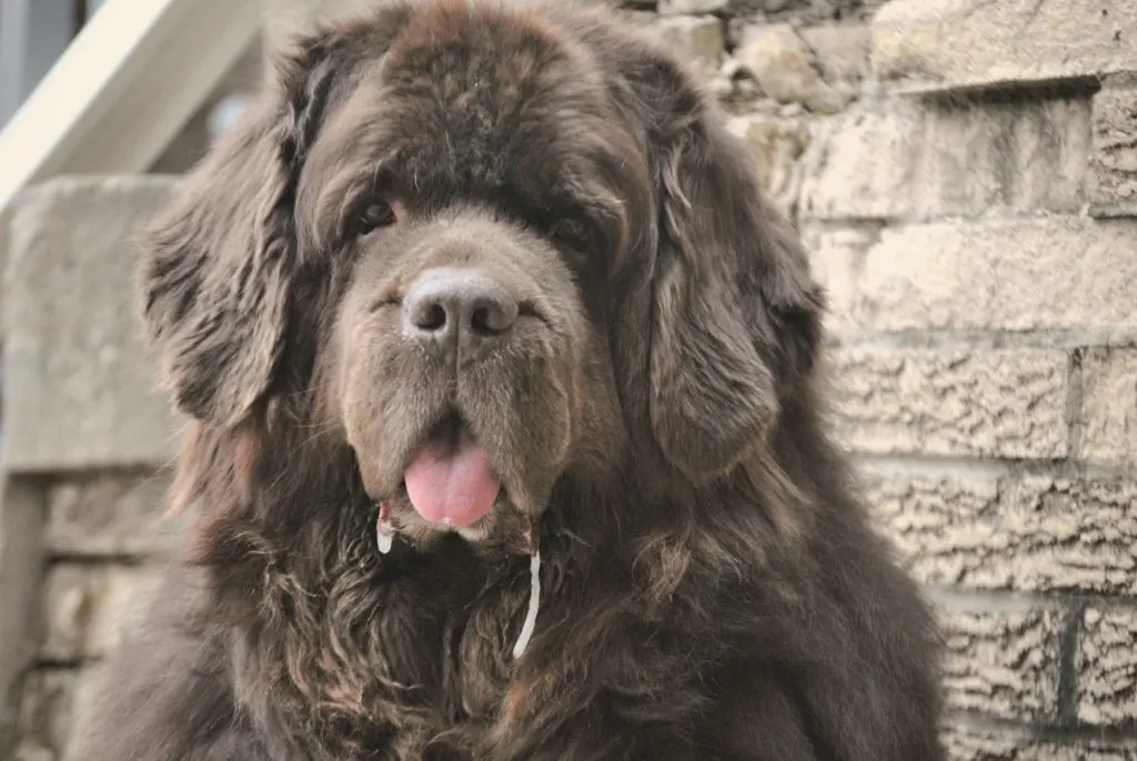 The No Wipe Back Rule