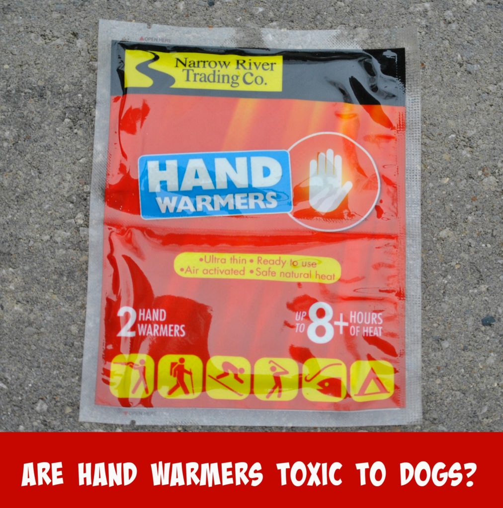 Are Hand Warmers Toxic To Dogs?