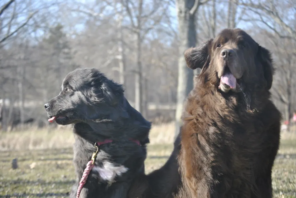 Mother Nature Is A Hot Mess