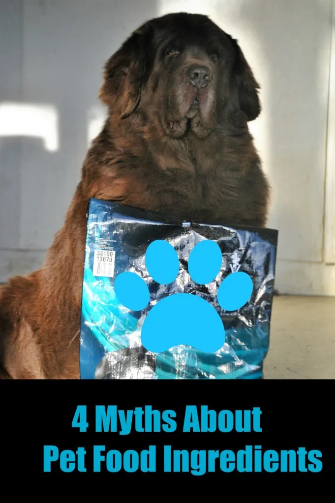 The Top 4 Myths About Pet Food Ingredients