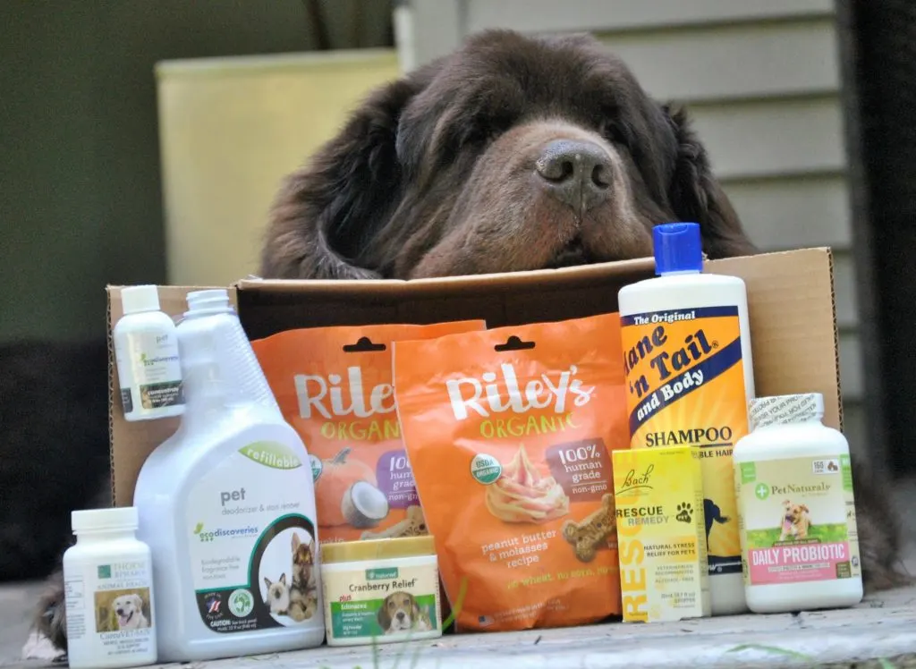 Keep Your Dog Happy and Healthy With Pet Products From iHerb