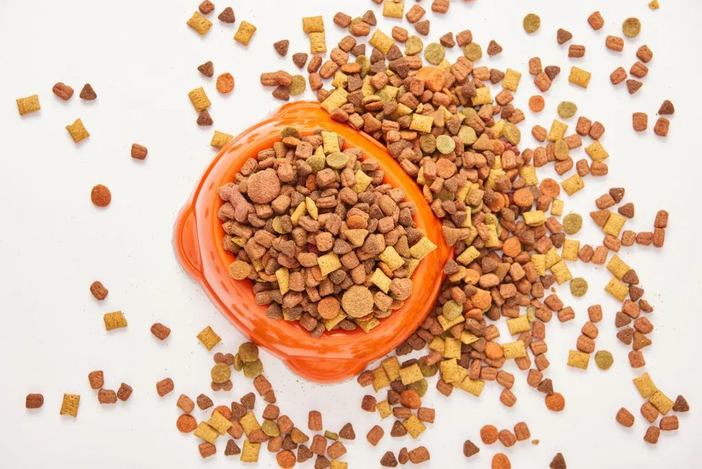 feeding too much dog food