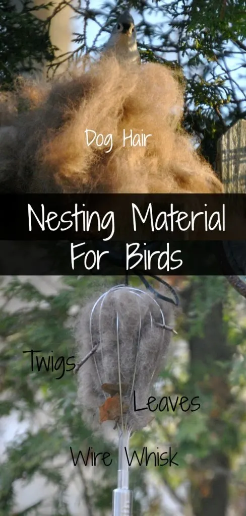 Use chemical-free dog hair, twigs, leaves and dirt placed in a wire whisk for birds to easily grab and use for nesting material