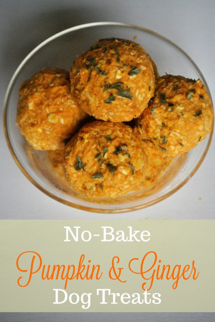 No-bake pumpkin and ginger dog treats are easy to make and low in fat making them a great treat for healthy dogs