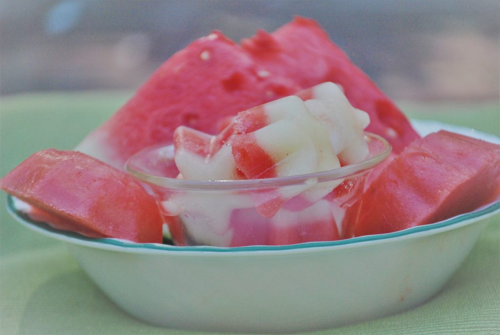frozen watermelon treat for dogs in a bowl