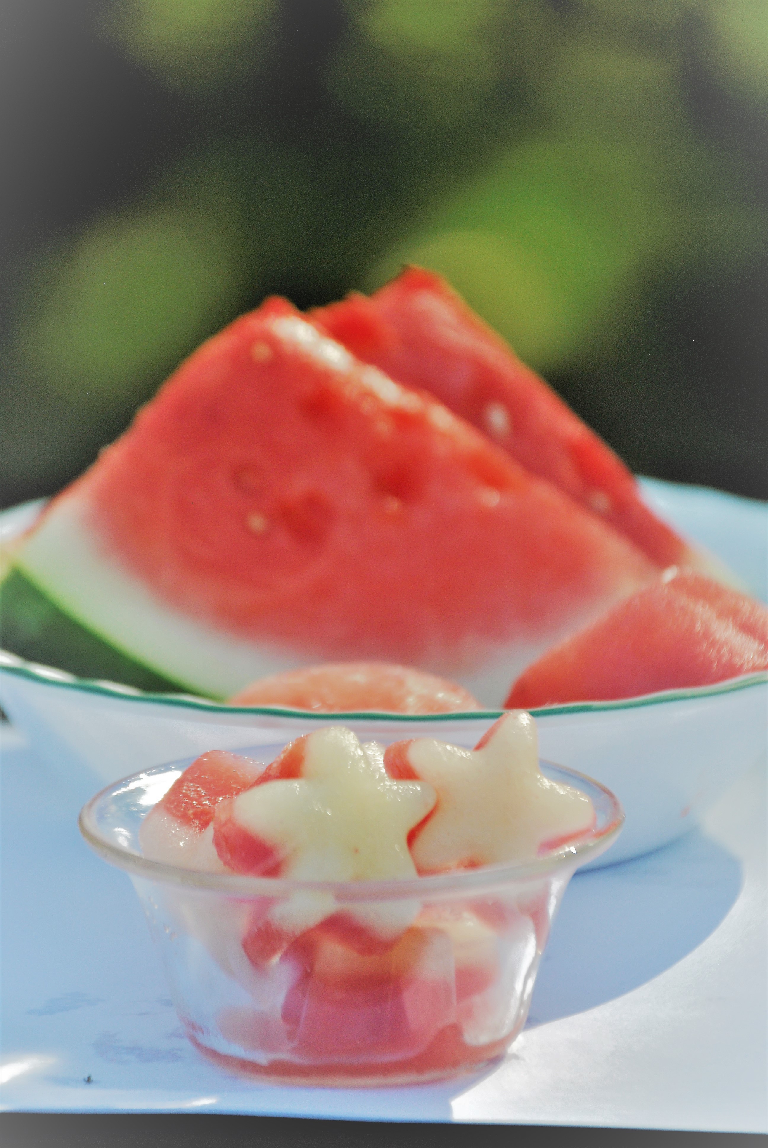 Delicious Cucumber And Watermelon Frozen Dog Treats My Brown Newfies