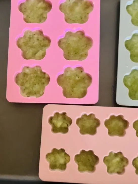 frozen watermelon dog treats in silicone molds on baking sheet in freezer