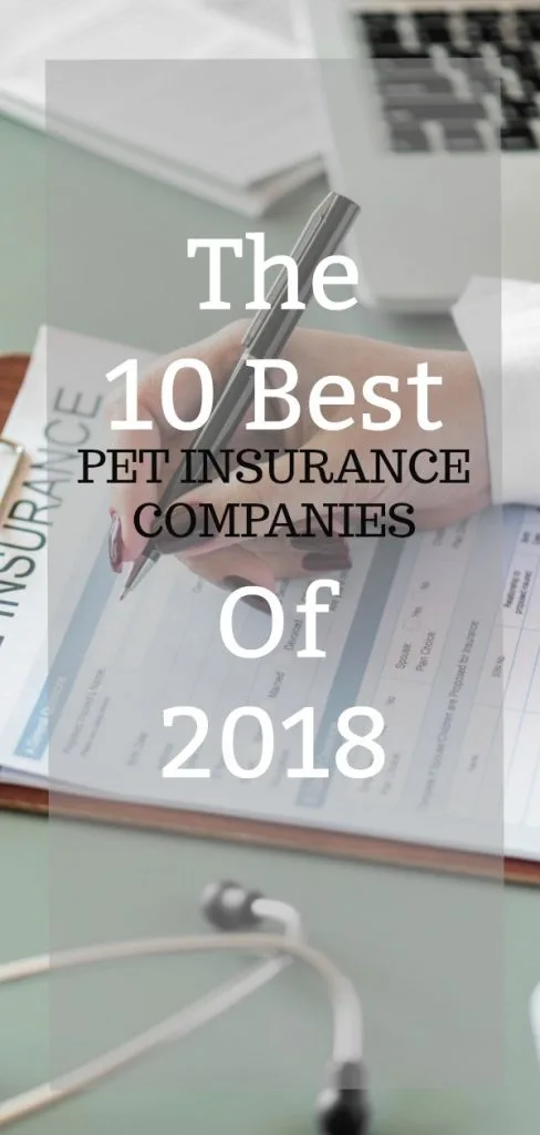 Best Pet Insurance Providers of 2018. 