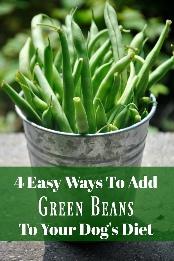 How do I cook green beans for my dog?