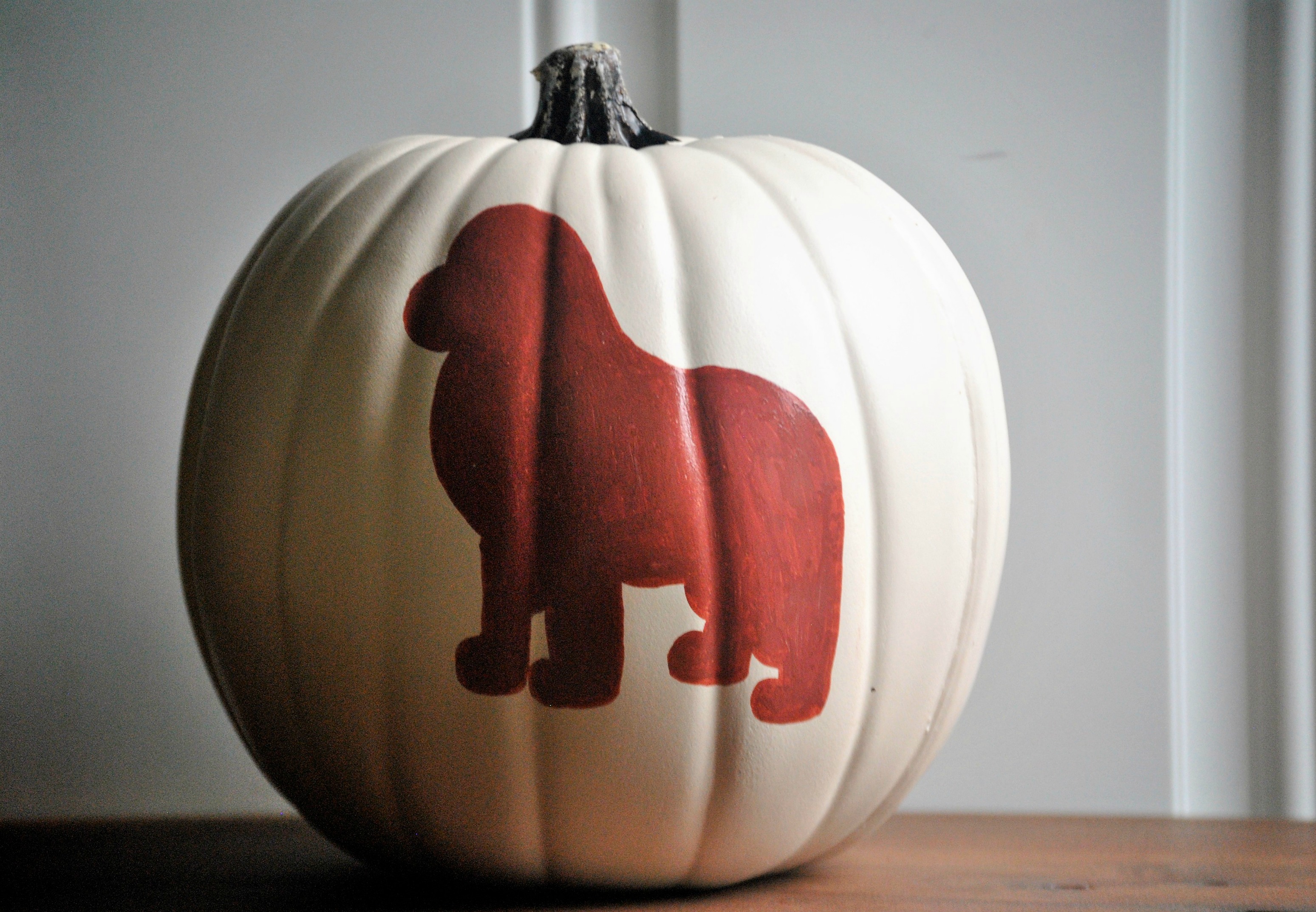 Easy Dog Pumpkin Carving Patterns - My Brown Newfies