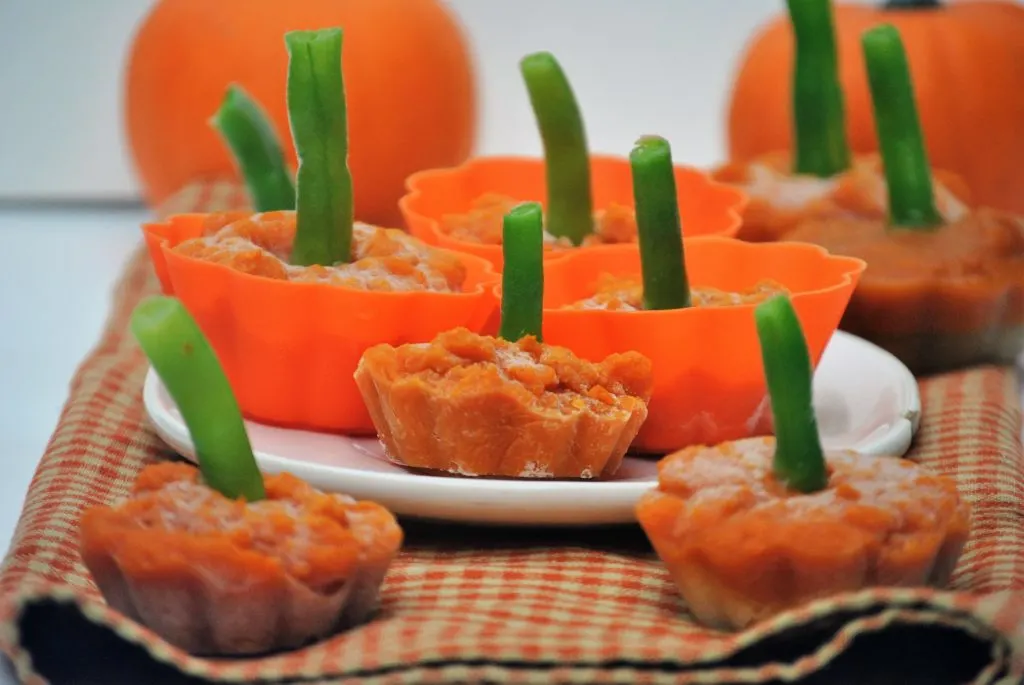 These frosty pumpkin dog treats are a perfect snack on a warm fall day and they’ll also make a great special treat on Thanksgiving!