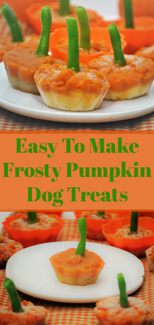 Frosty Pumpkin Dog Treats My Brown Newfies