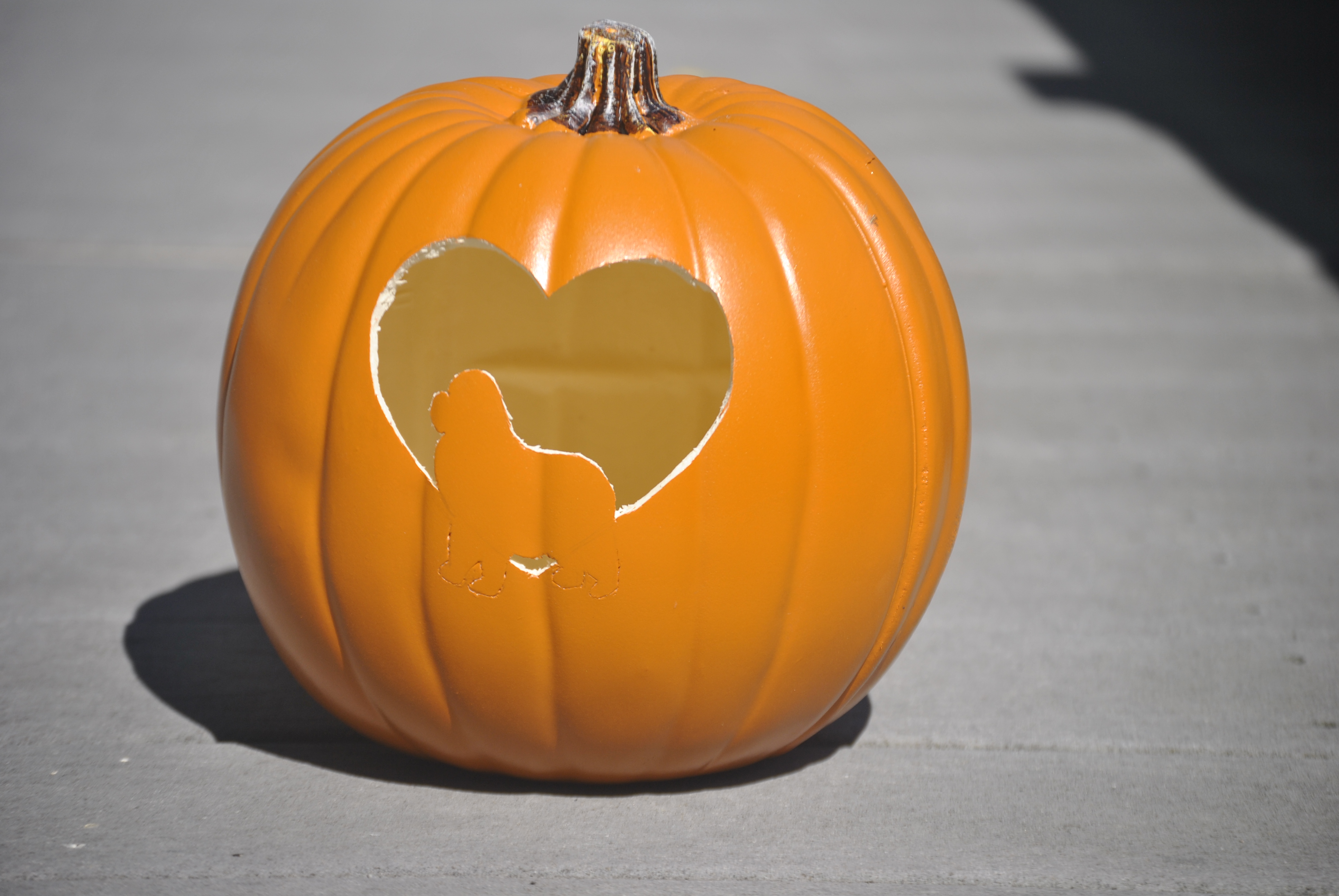 Easy Dog Pumpkin Carving Patterns My Brown Newfies