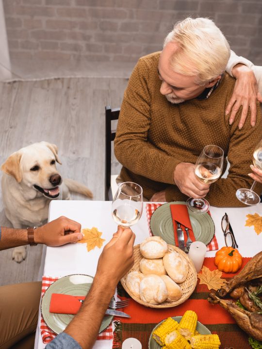 how not to give your dog pancreatitis this Thanksgiving